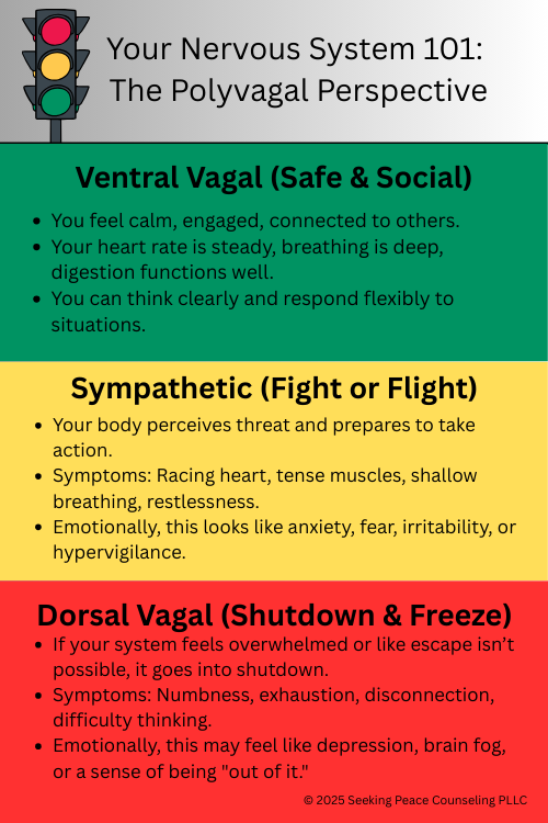 Feeling Anxious or Shut Down? Understand Your Nervous System — Seeking ...