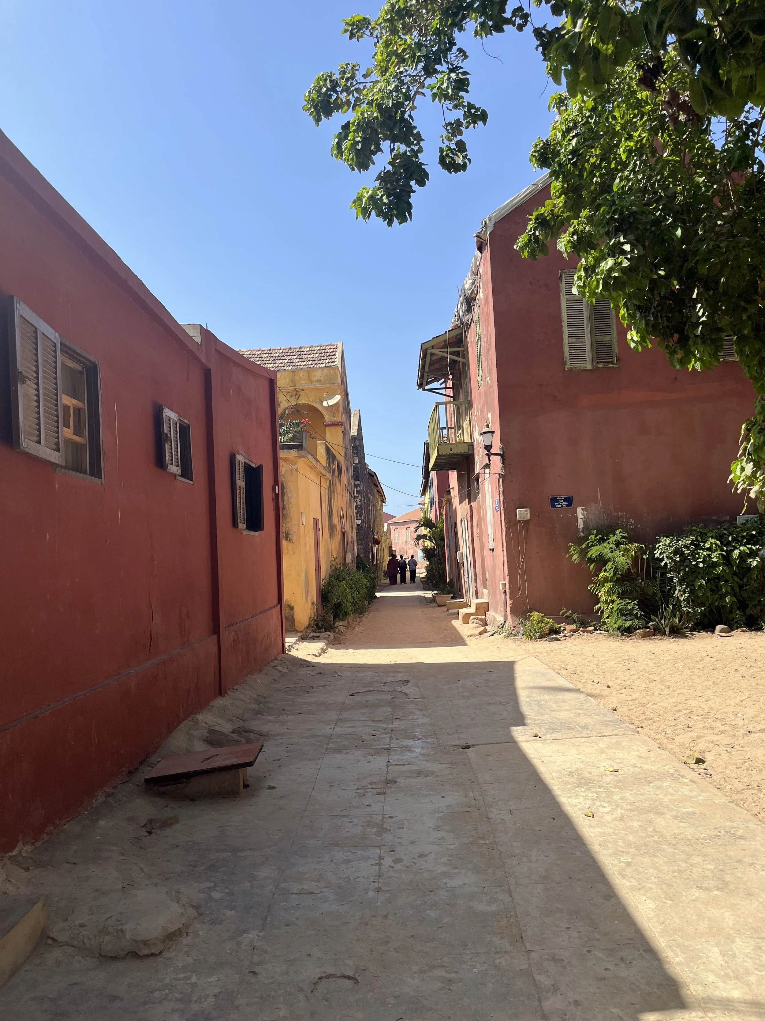 IMG_5571.jpeg