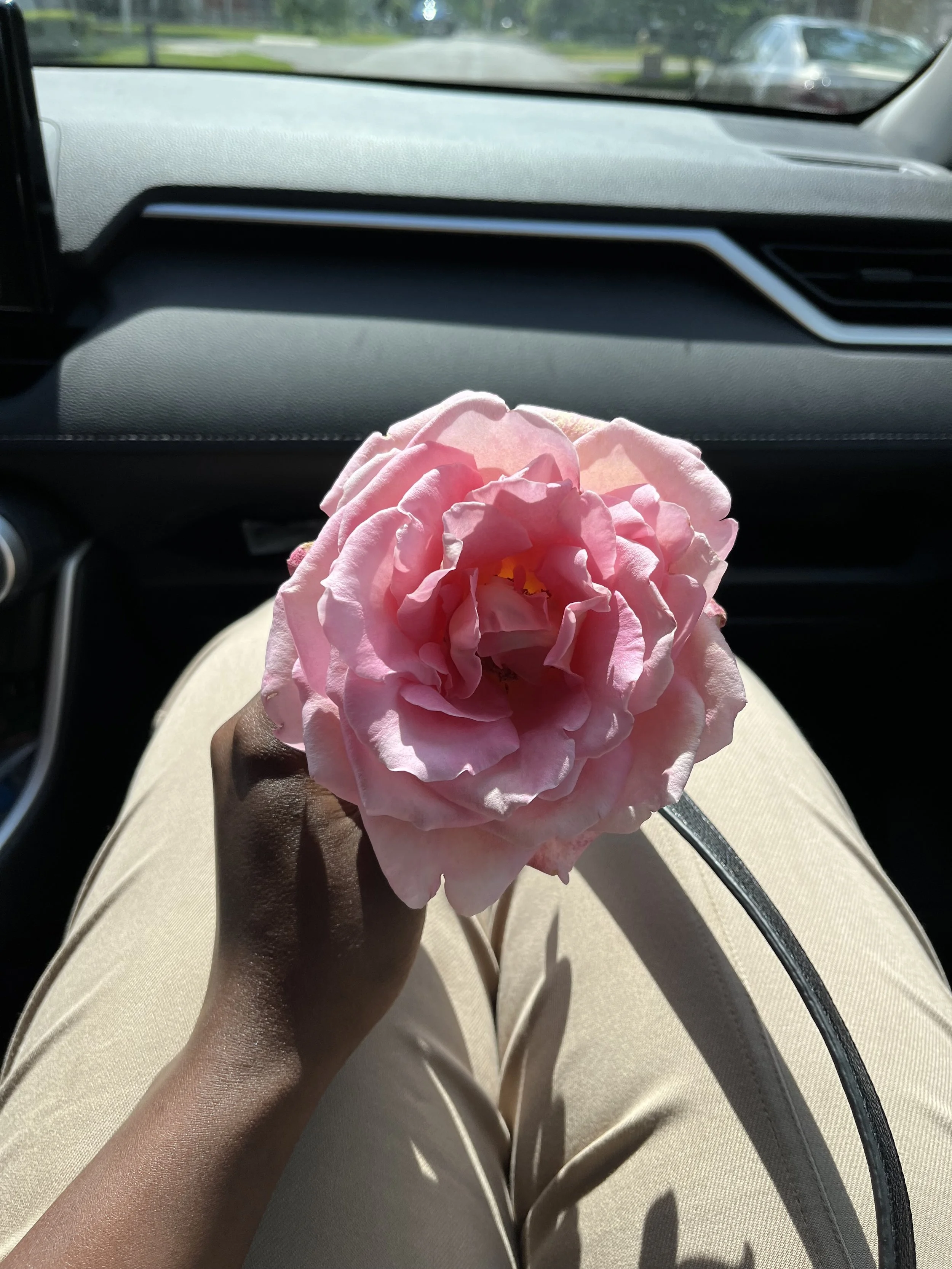 IMG_2149.jpeg
