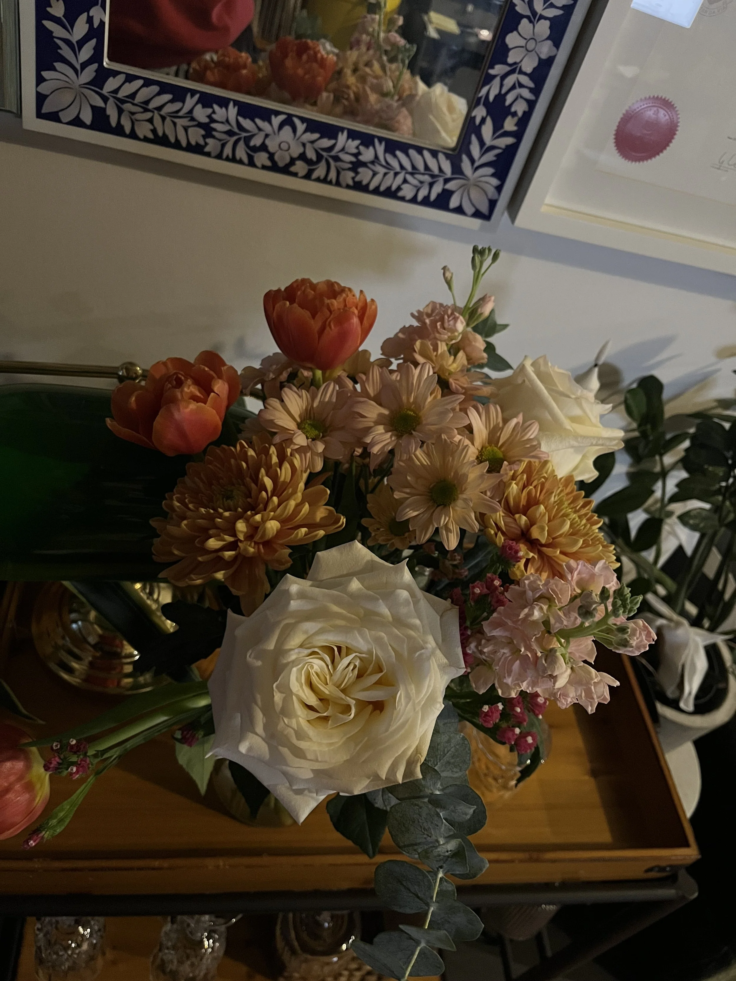 IMG_8523.jpeg