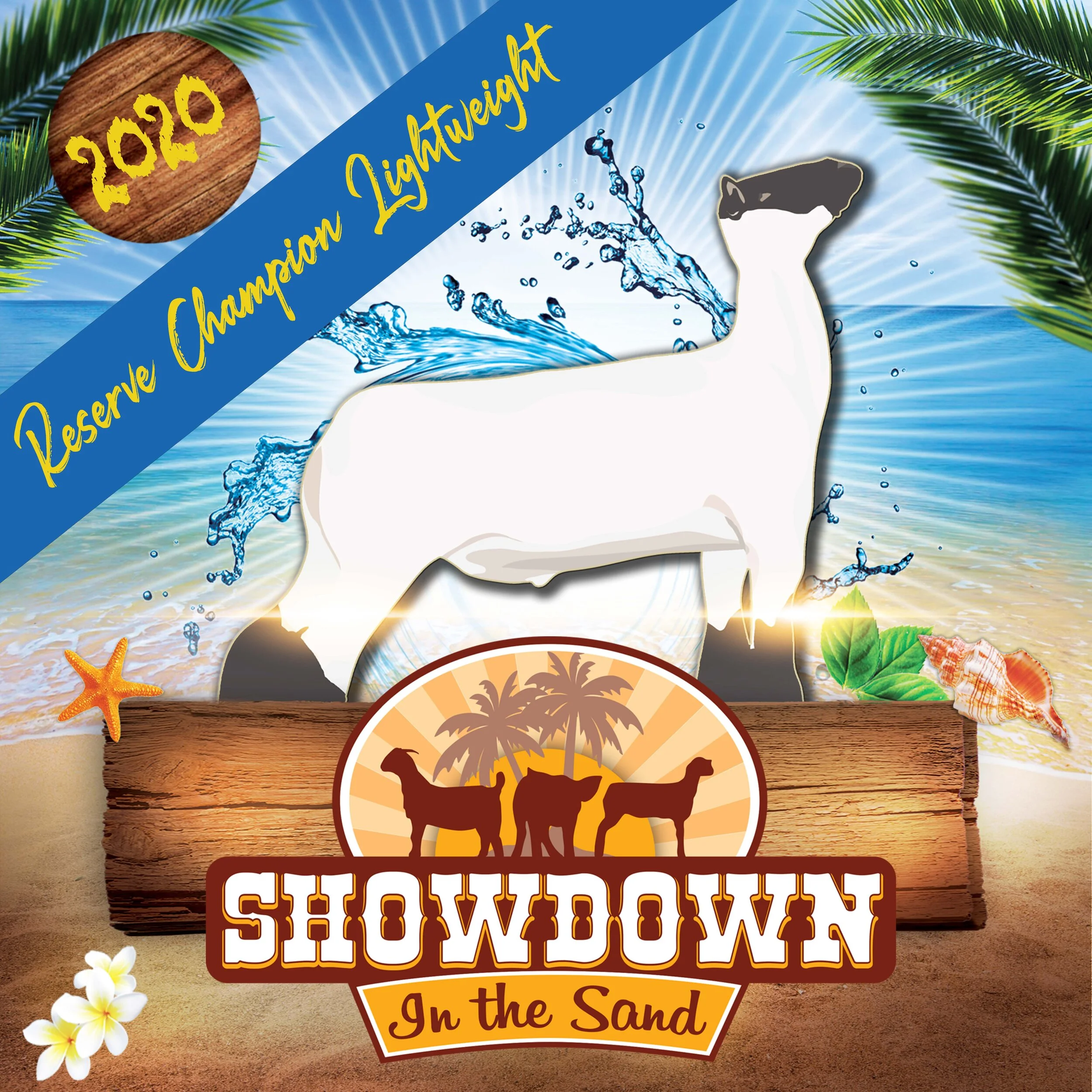 Showdown in the Sand Day 1 Lamb 2x2 2.jpg