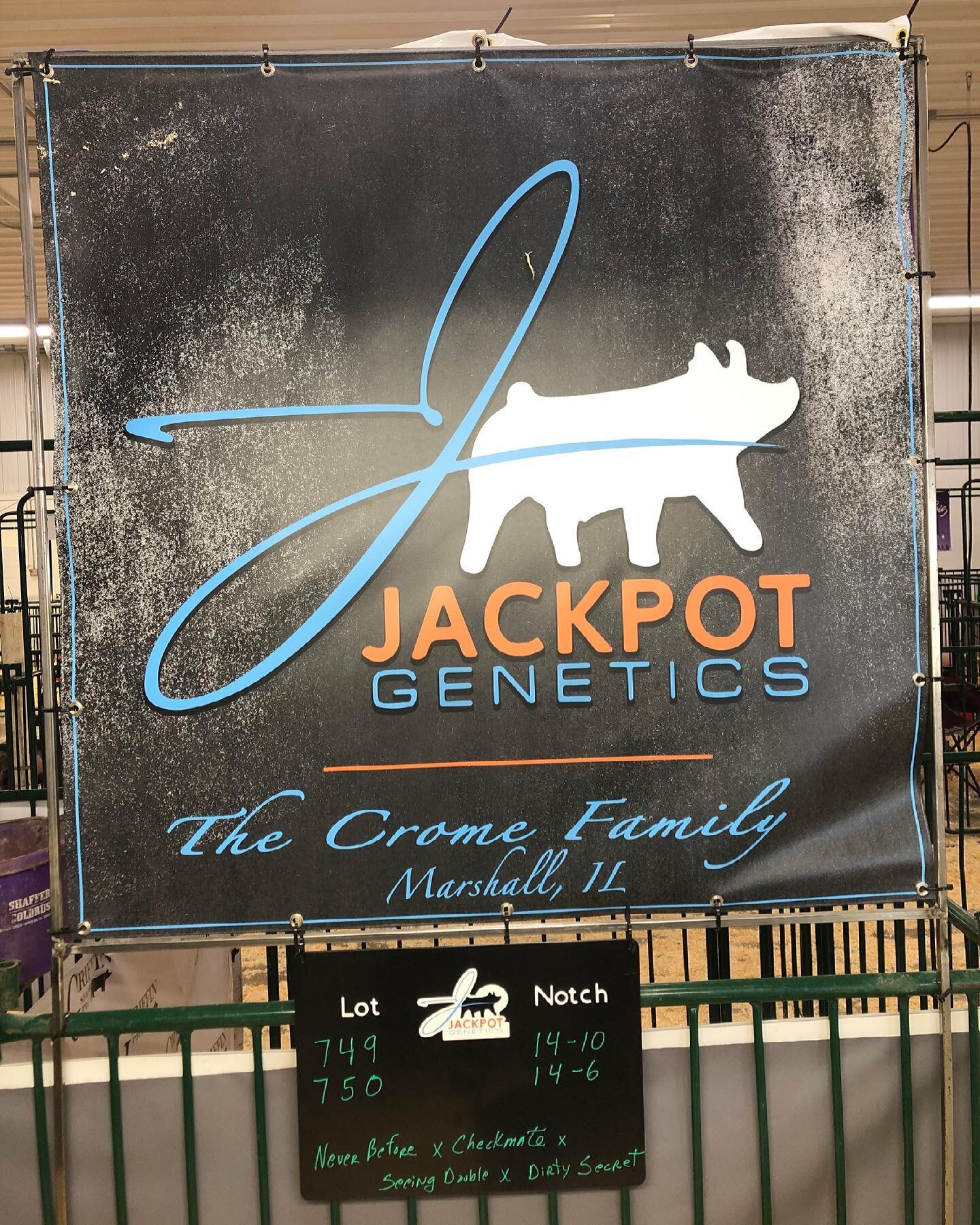 Jackpot Genetics had quite a day.... that started about ten years ago.  Thanks to Tracy Deckard for tormenting us then and discussing if we really loved our kids we would farrow a gilt to give them baby pigs to play with.  What a pal..... 

The Dream