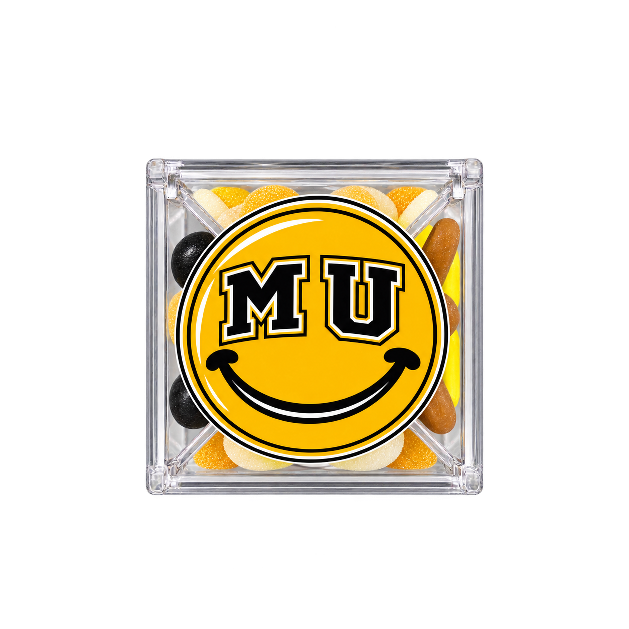 ChatGPT Image Sep 23, 2026 at 03_16_16 PM.png