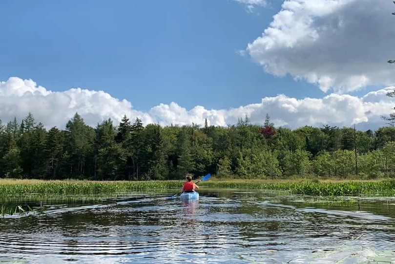 Person kayaking on a calm river surrounded by green trees under a partly cloudy sky.