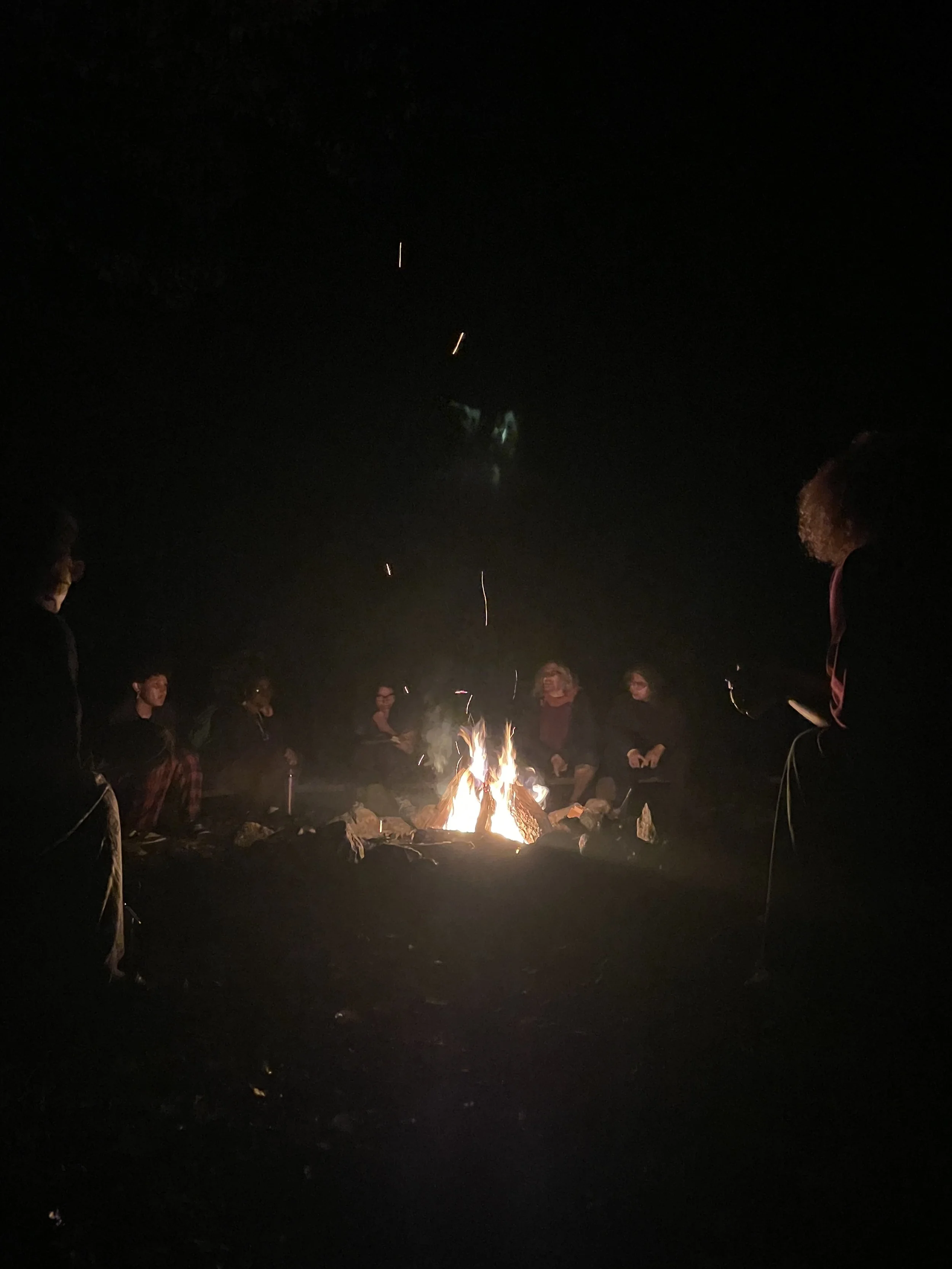 A group of people sitting around a campfire at night.