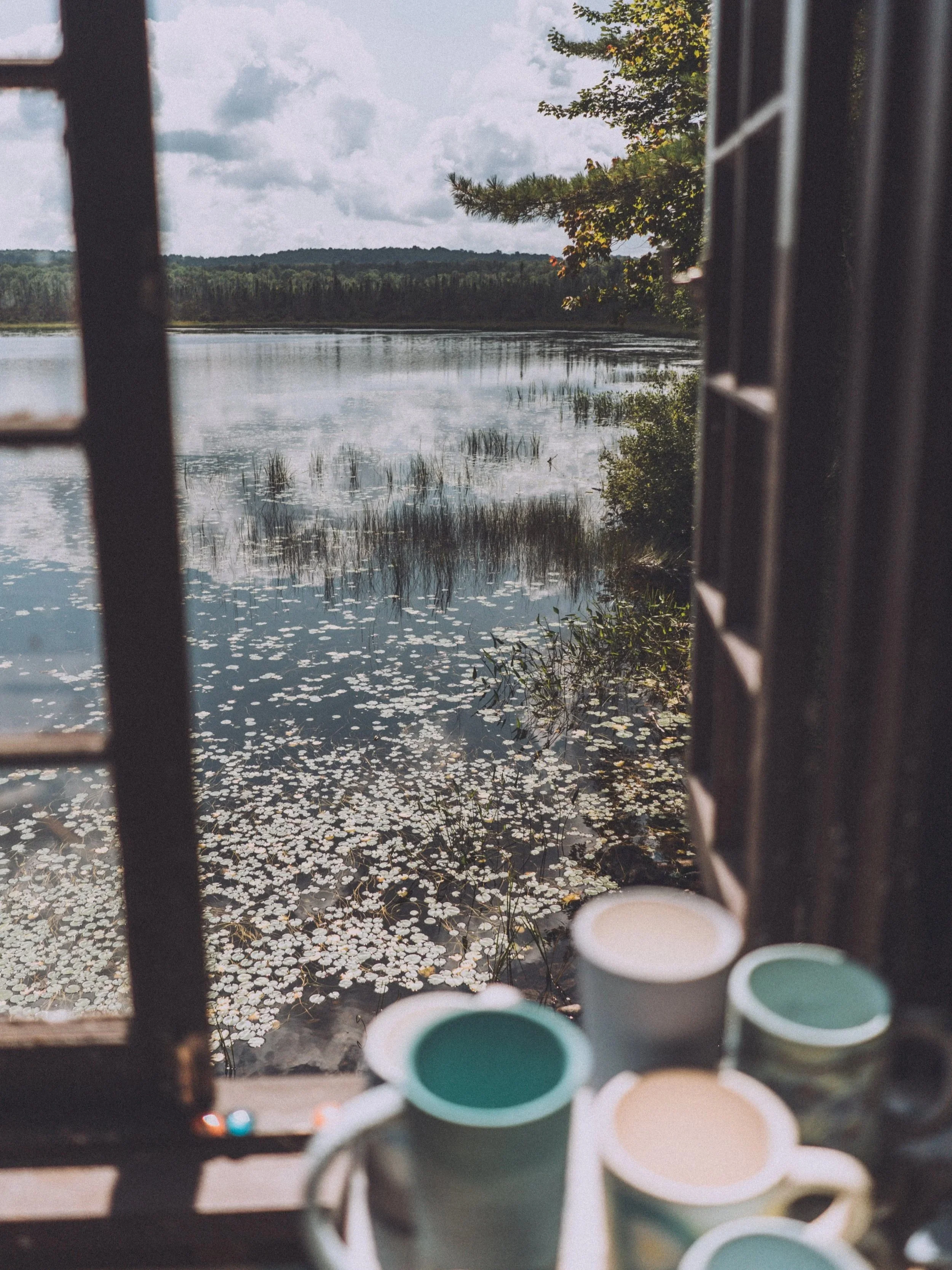 View of a peaceful lake with water lilies, seen through a window with open shutters. Several mugs are on the windowsill.