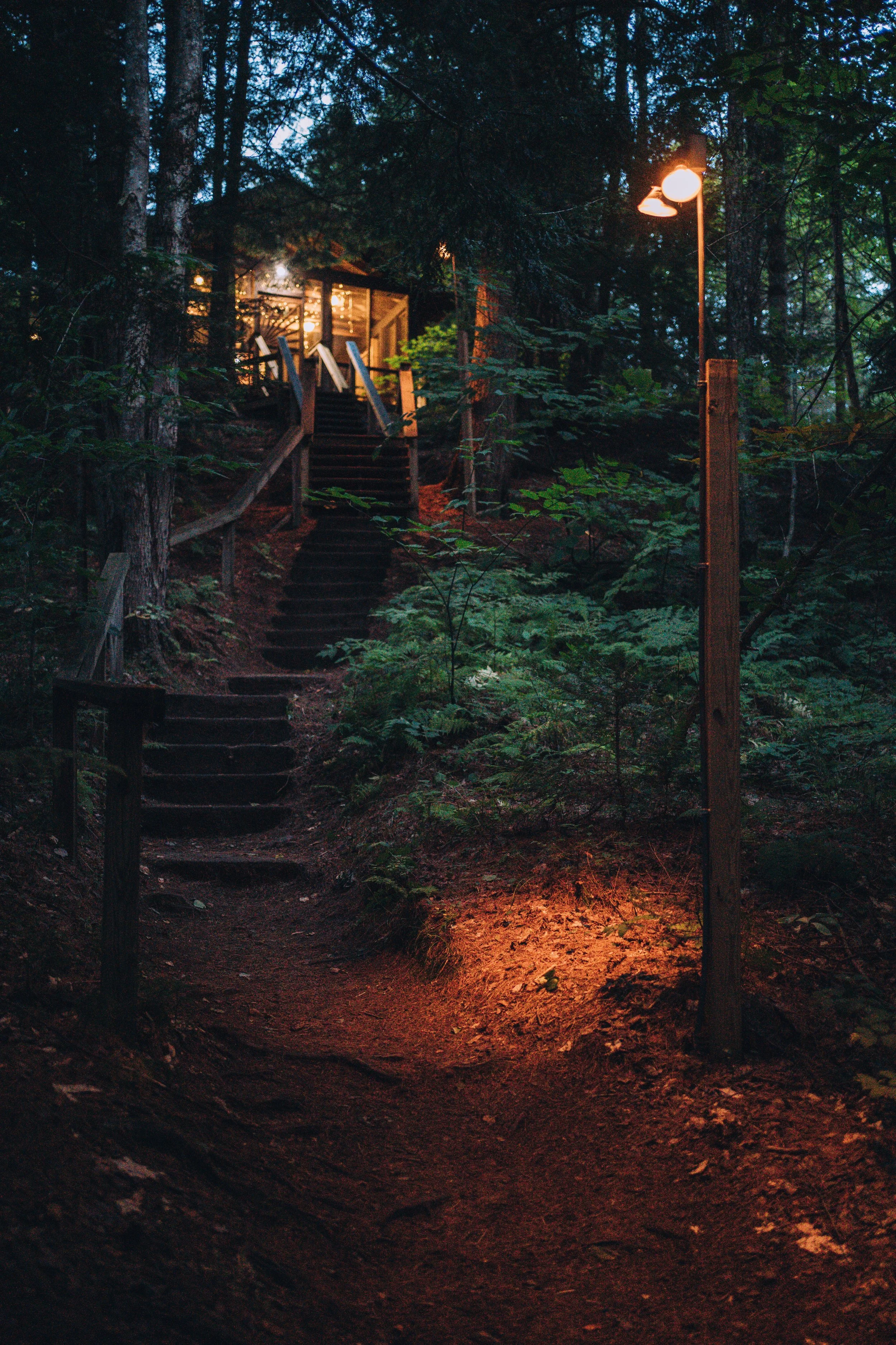 Wooden stairs leading up through a forest to a warmly lit house at dusk, with a lamp illuminating part of the path.