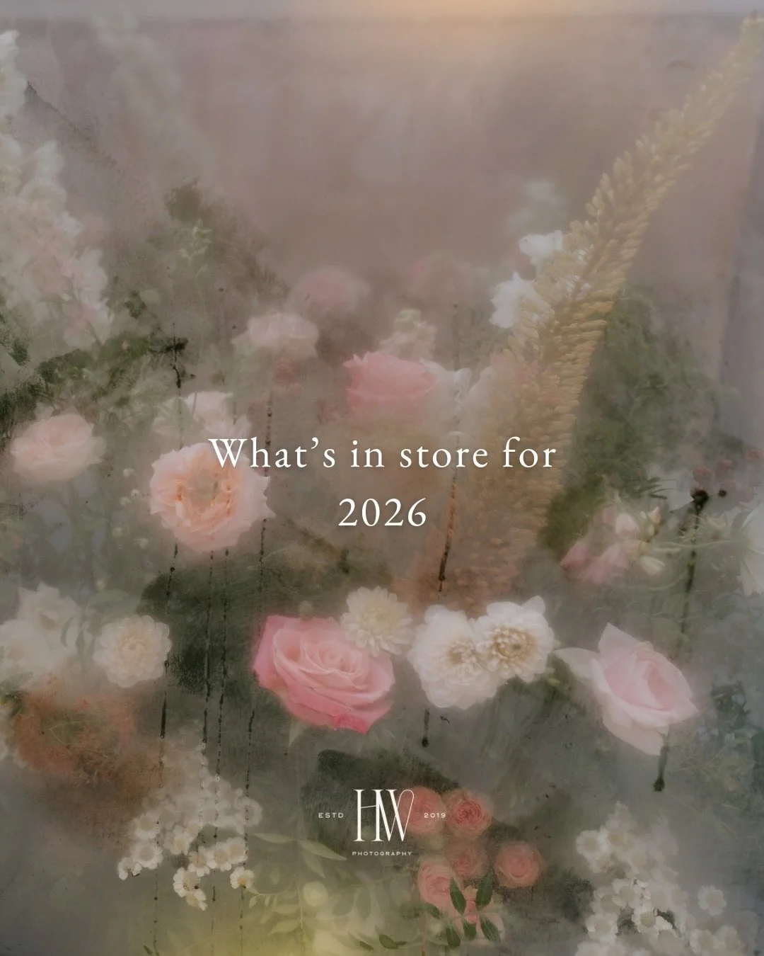 2025 was an incredible year for me work wise but it wasn&rsquo;t always easy! 2026 is all about continuing to do all the work I love, just with a little more structure and whole lot of creativity! 🥂

#2026resolutions #newyearsresolution