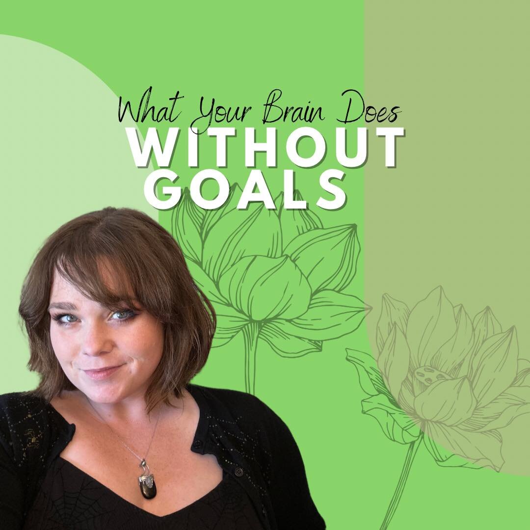 Having goals is super important to a healthy life. Without meaningful goals brains start to go kind of haywire. 

Without goals we start to focus only on the negatives. Having goals helps us focus on what baby steps we are taking in a positive direct