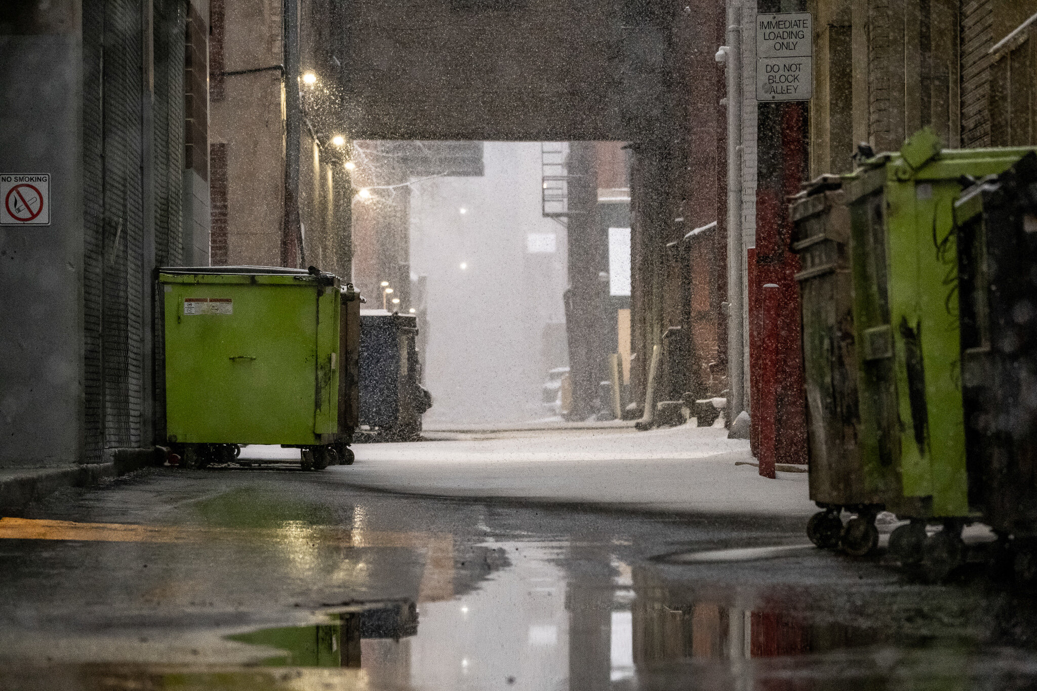 DSCF6674-2.jpg