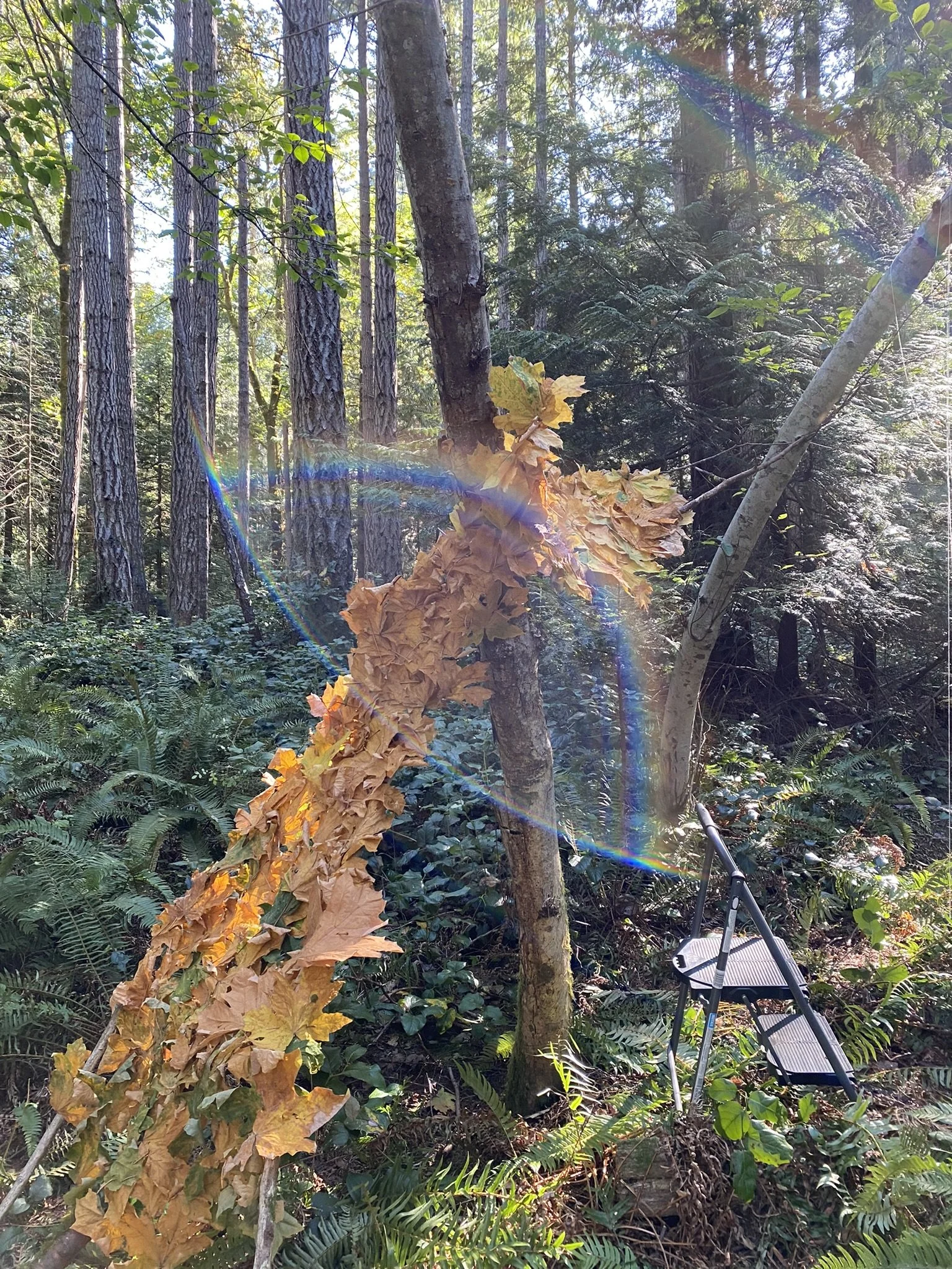 dance into change land art sculpture installation site specific ephemeral art