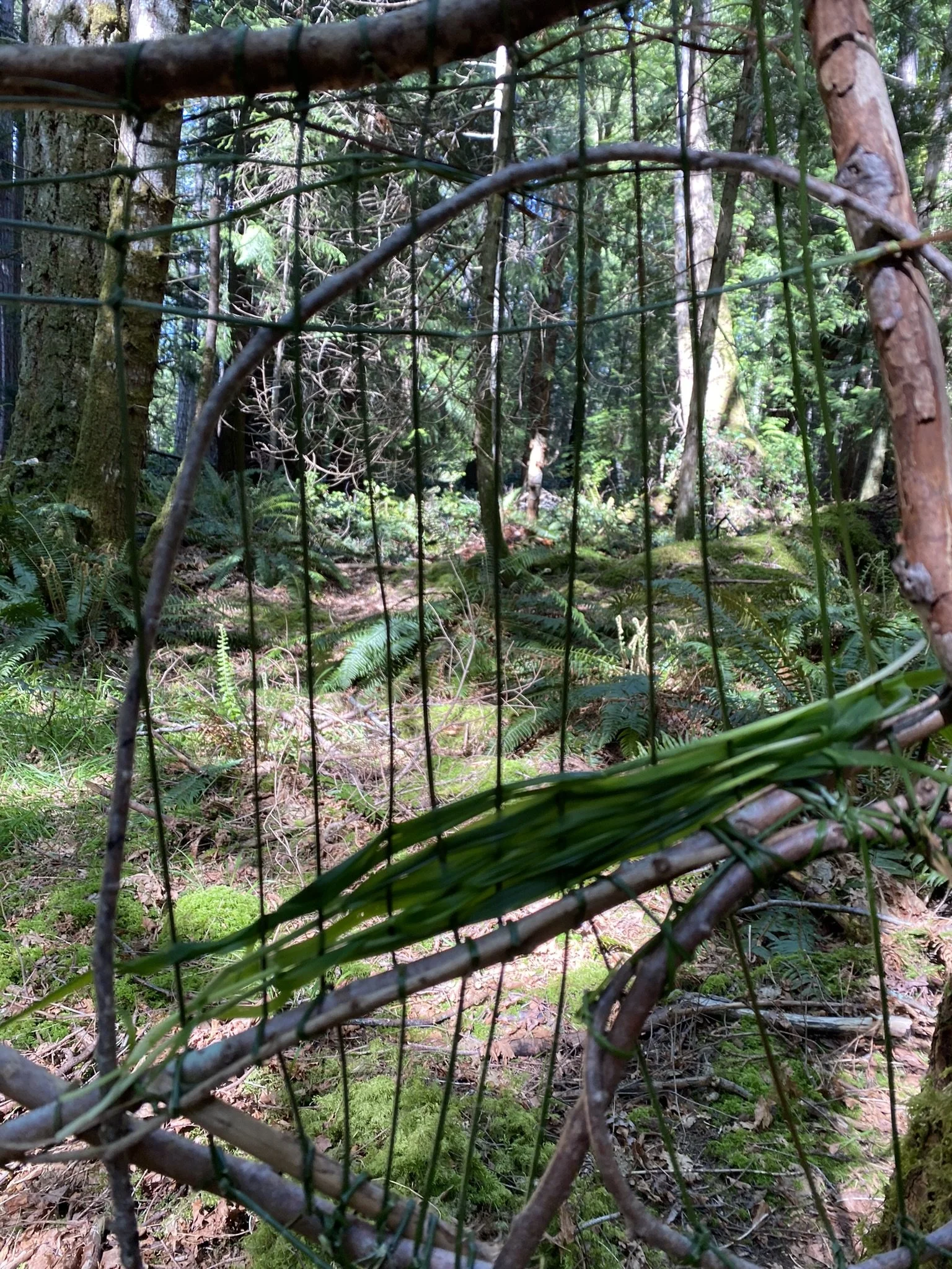 IMG_4895 - Copy.JPEG