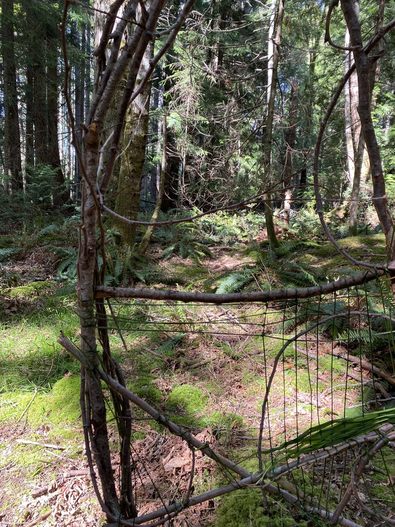 IMG_4894 - Copy.JPEG