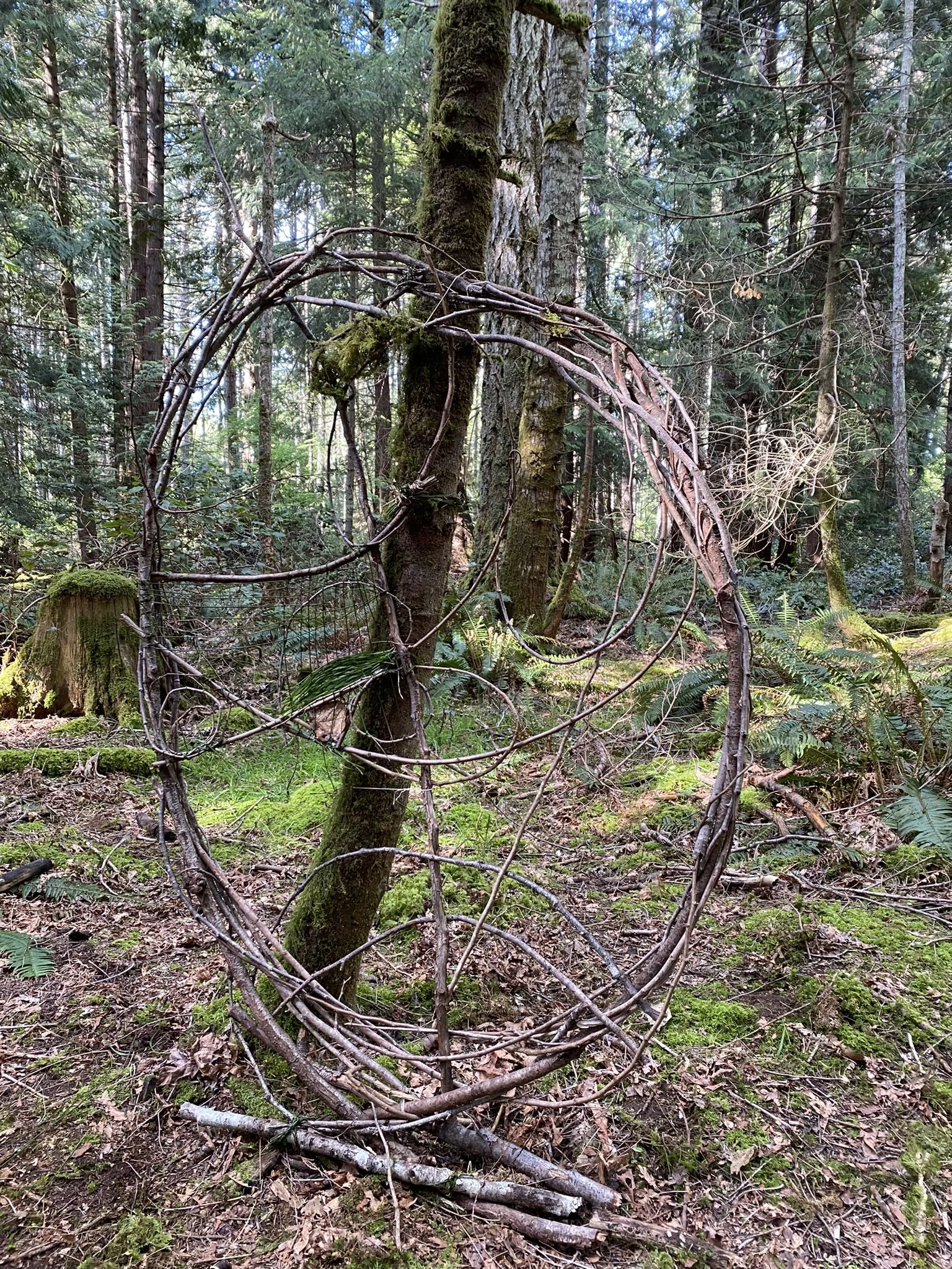 IMG_4900 - Copy.JPEG