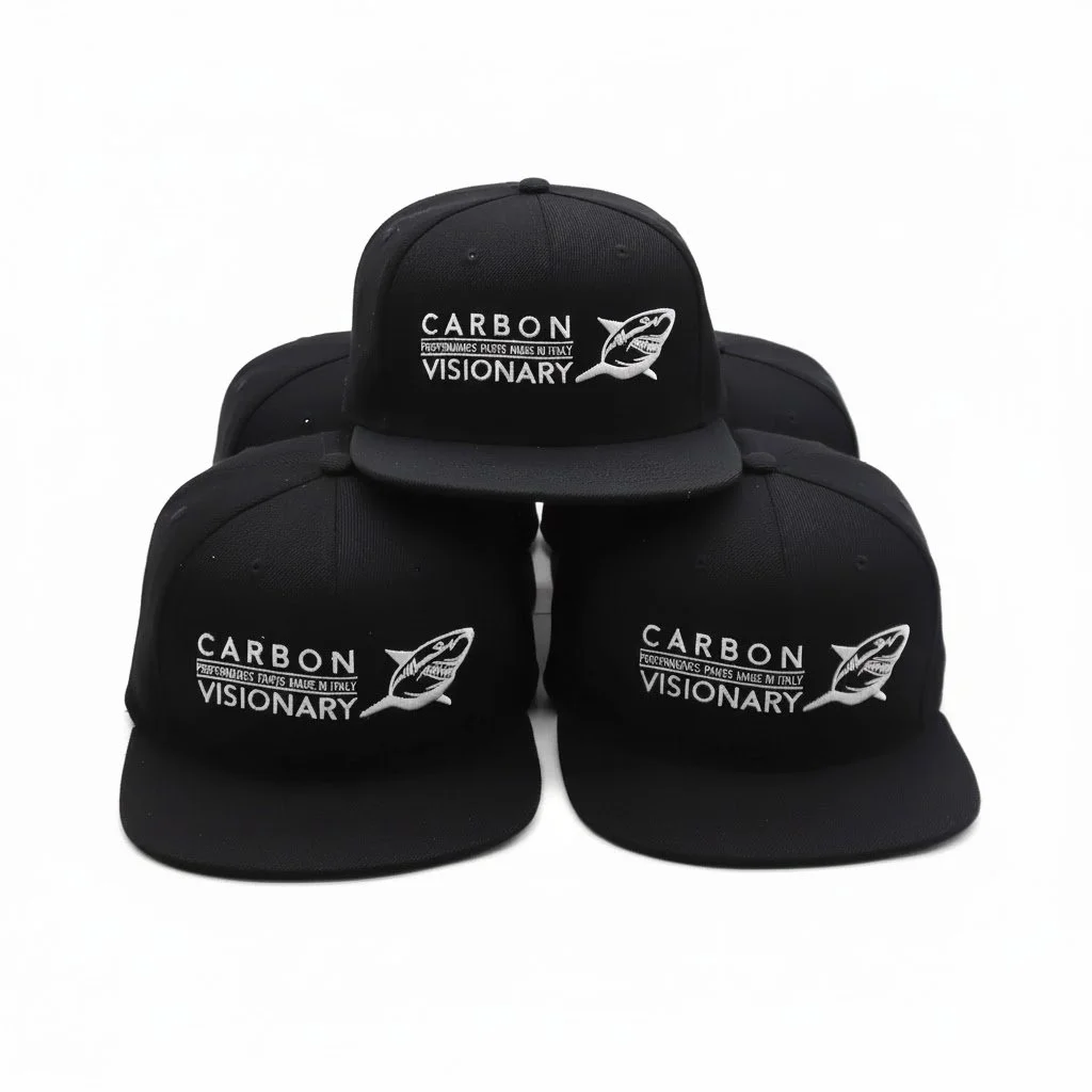 Visionary Snapback Hat