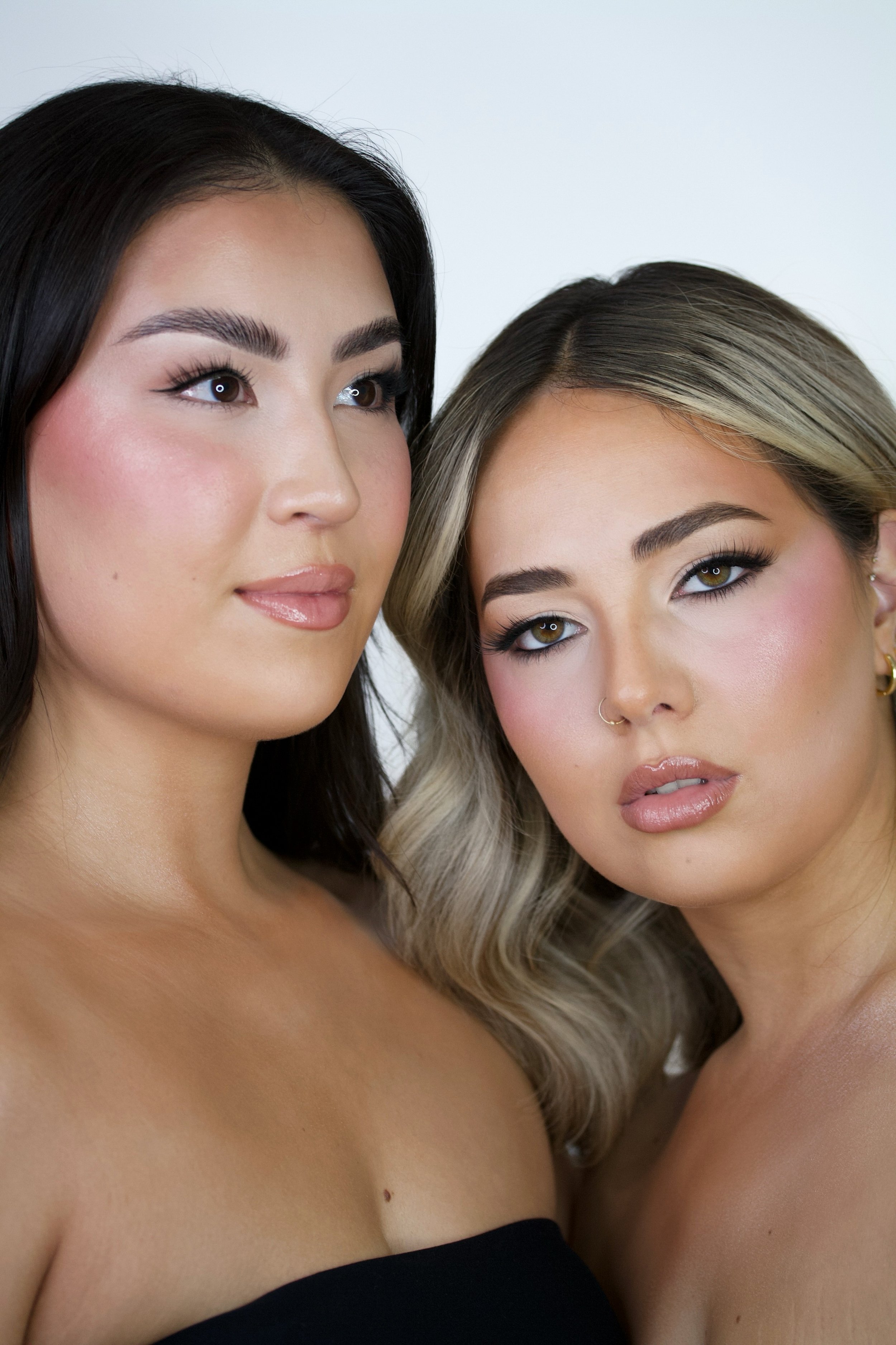003 LARGE CONTOUR + HIGHLIGHT BRUSH