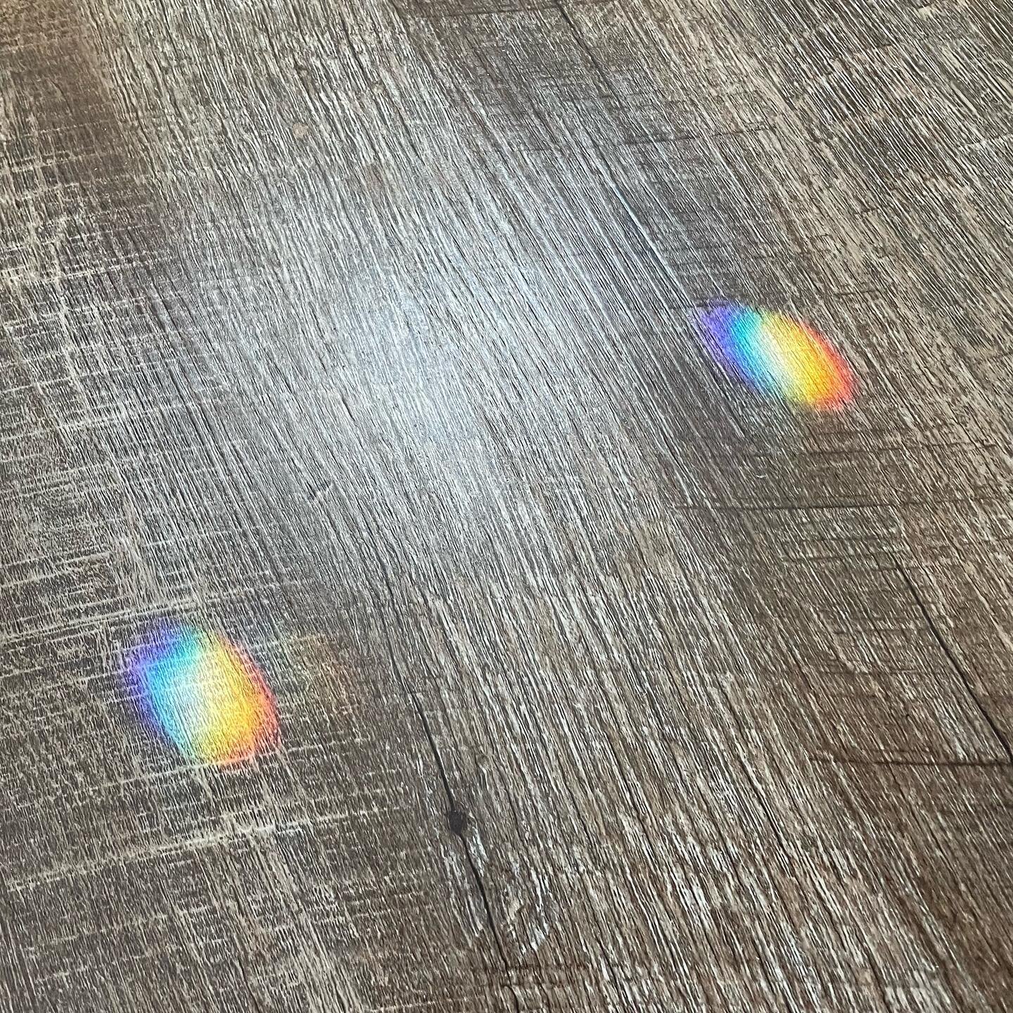 Finding joy in the little things, including the rainbows reflected through the glass in the new front door. 🌈🤍 #rainbows 

(Image: two small, circular rainbows on wood flooring.)