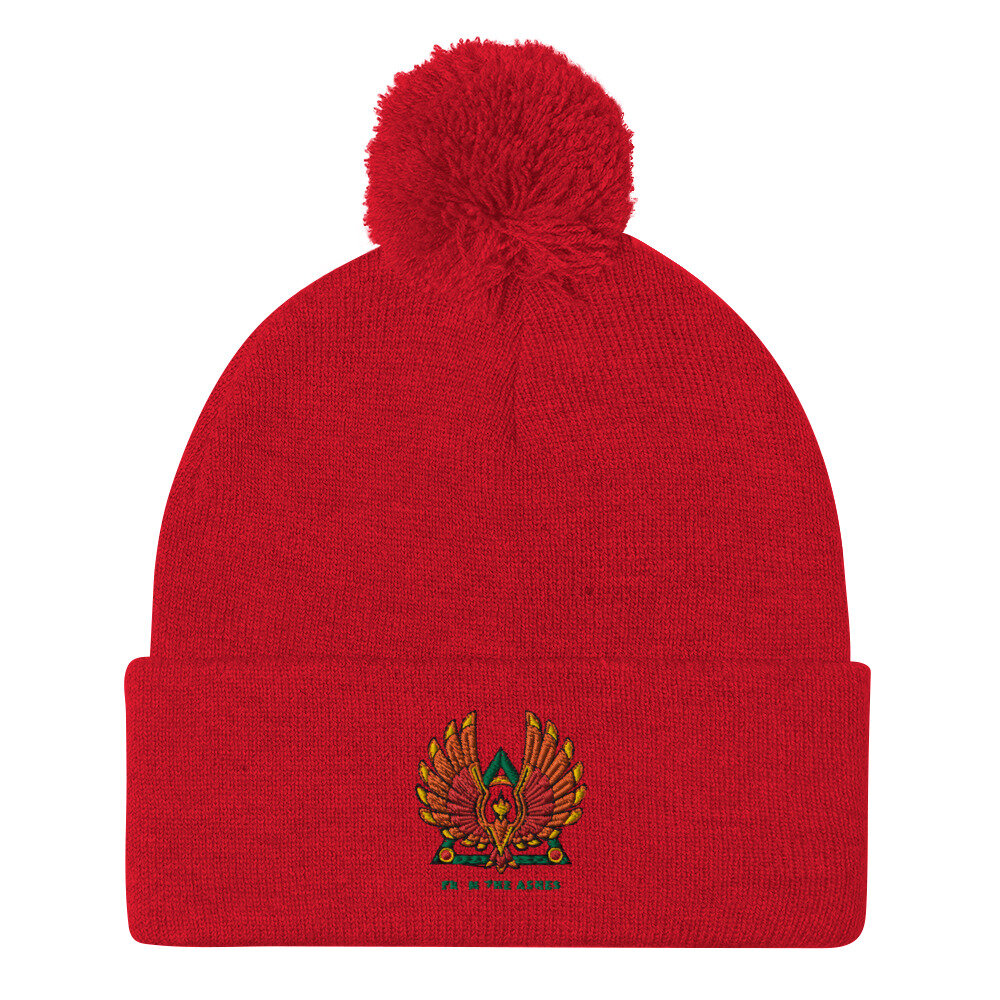pom-pom-knit-cap-red-front-616105927f13f.jpg