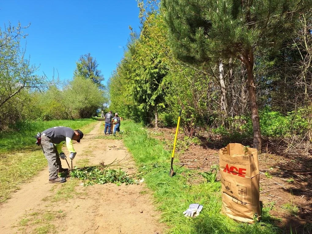 Conservation Work Party