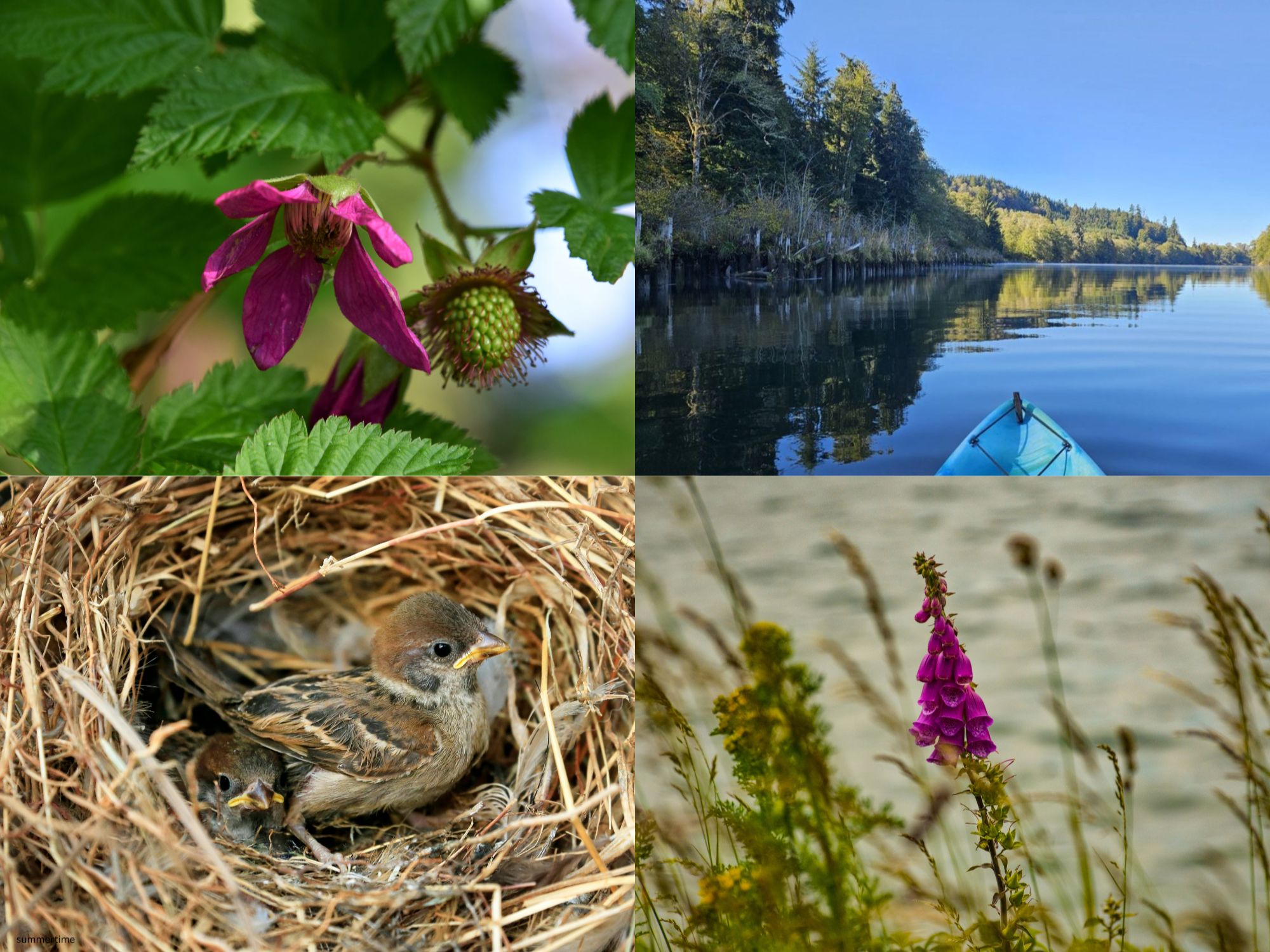 June Spotlight -                A River in Conversation