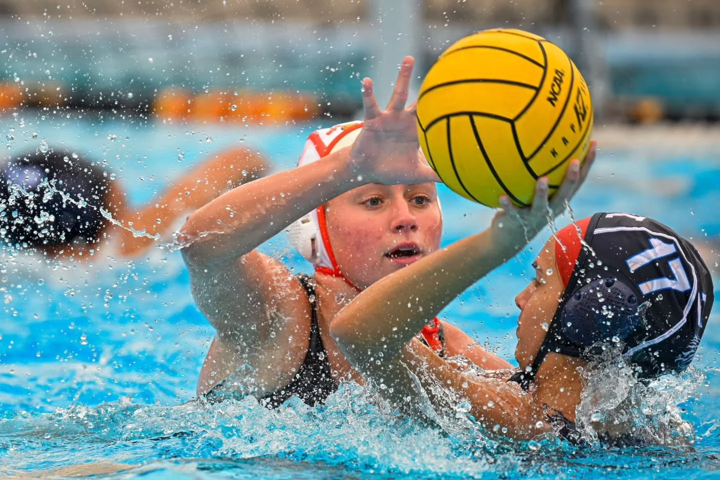 A little chili on the pool deck but had a good day photographing @seminolewaterpolo yesterday. 
#waterpolo #pool