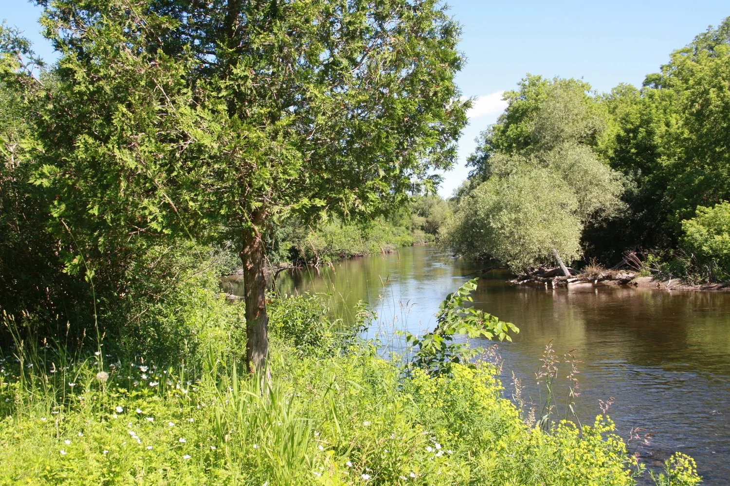 Hiking Trails — Grand Trails