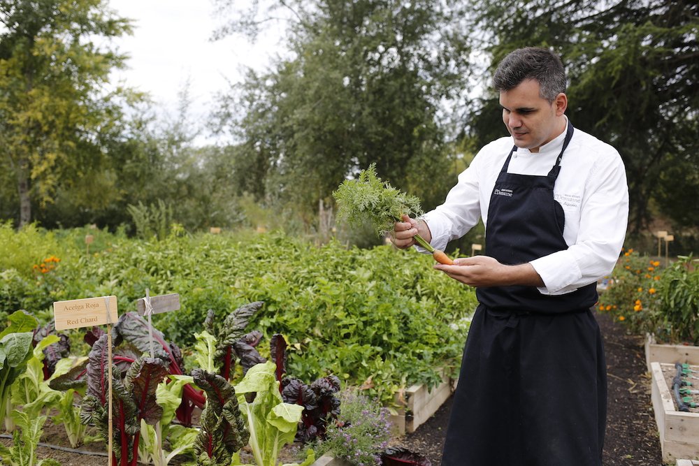 The Monks' Vegetable Garden_Abadía Retuerta.JPG