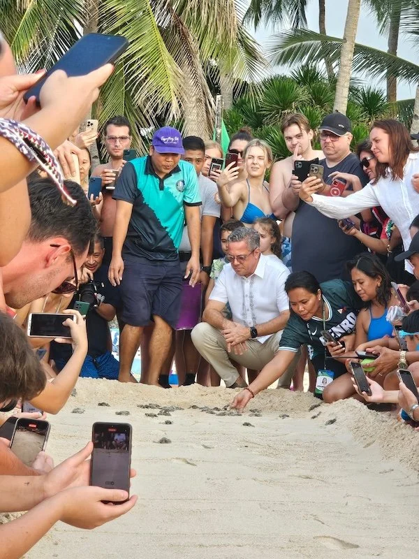 Turtle Hatchling Release.jpeg
