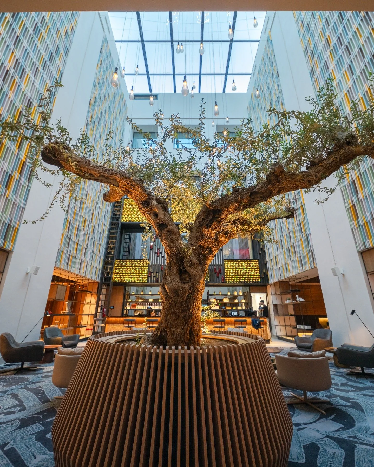Green Globe has awarded The Nine Lifestyle Experience its inaugural certification. 

At The NINE Lifestyle Experience, they have always believed in doing things differently. From the initial concept to the final build, sustainability has been embedde