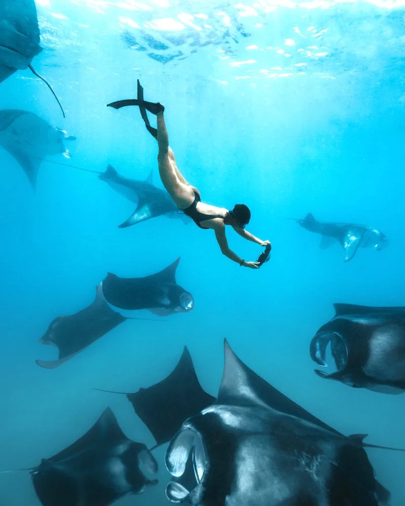 Manta Ray Season - The Standard, Maldives (6).jpg