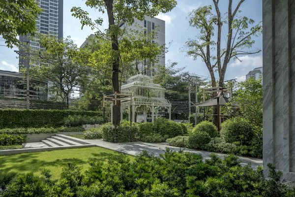 Lawn on ground level.jpg