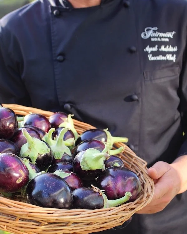 Green Globe Certification.jpg