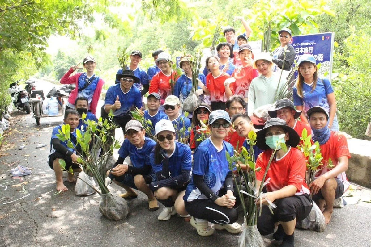 Grow Mangrove.jpg
