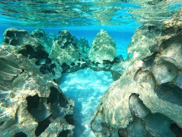 JW Marriott Maldives Kaafu Atoll Island Resort_ Beach Underwater.jpg