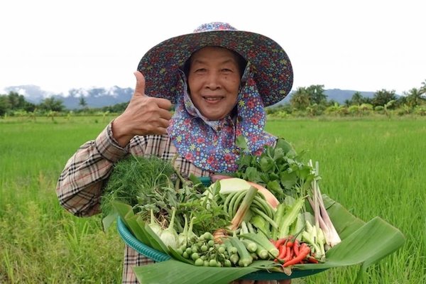 Green Kitchen Program 3.jpg