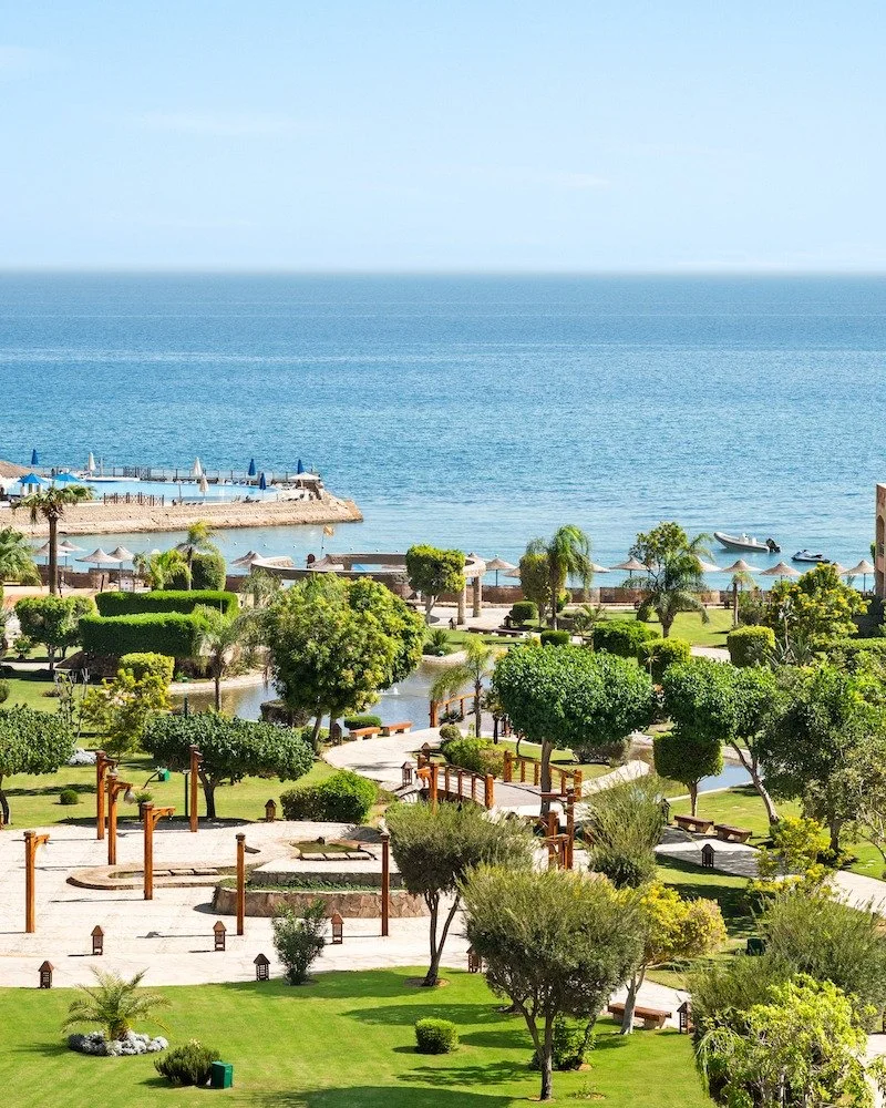 Nestled along the pristine shores of the Red Sea, M&ouml;venpick Resort El Sokhna is a premier beachfront destination renowned for its exceptional hospitality, breathtaking sea views, and commitment to sustainable tourism. The resort offers an ideal 