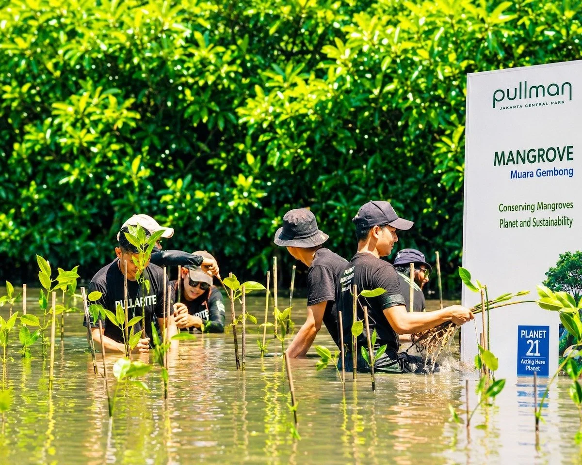 Planting Mangrove.jpeg