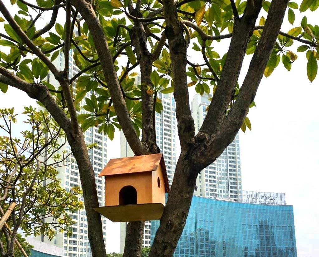 Bird shelter.jpeg
