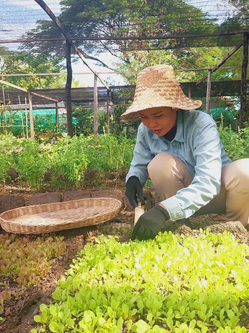 garden4.jpg