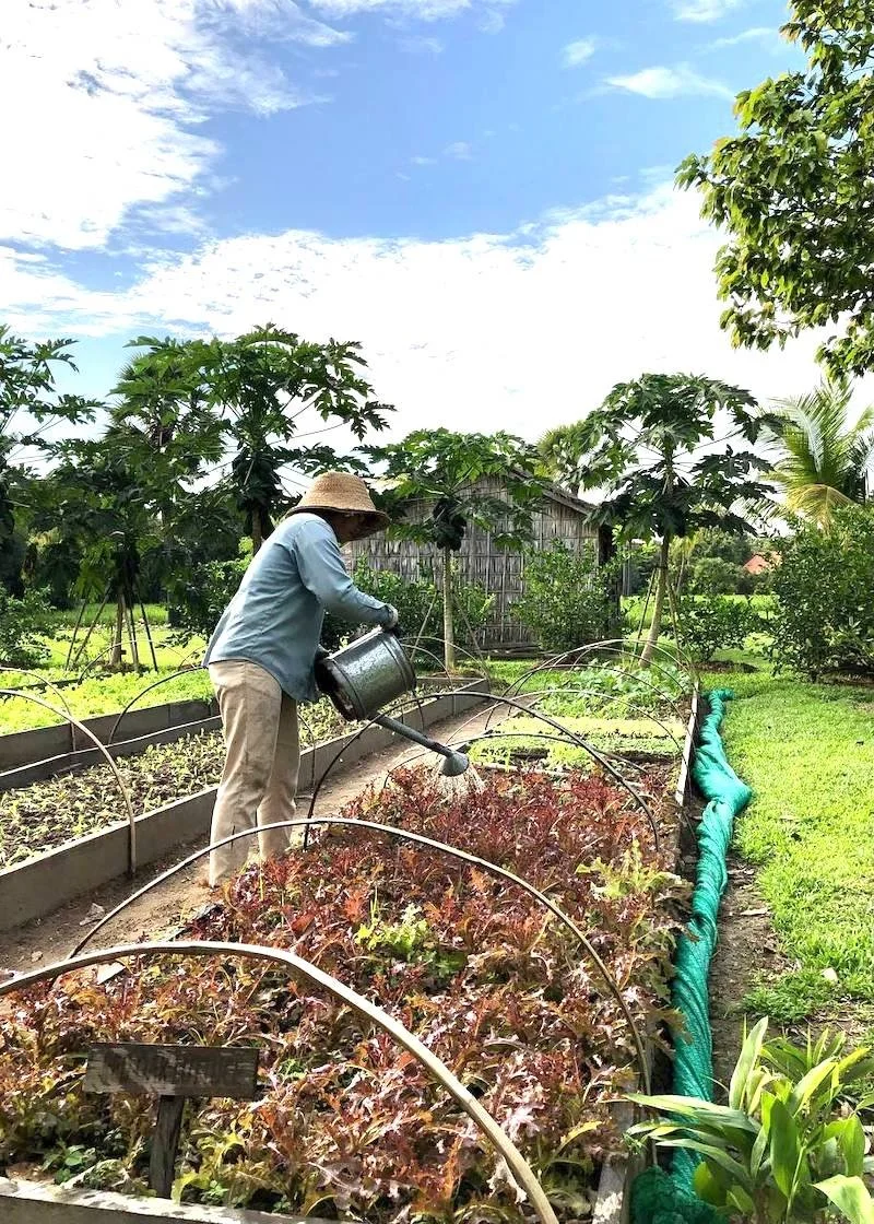 Hotel's compost2.jpg
