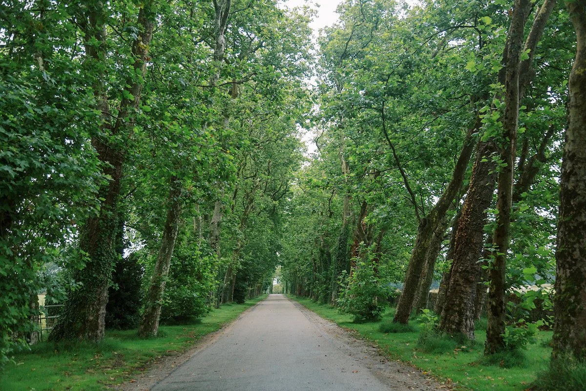 Park.jpg