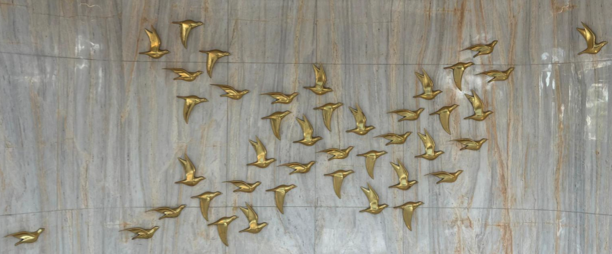 Birds in Motion.png