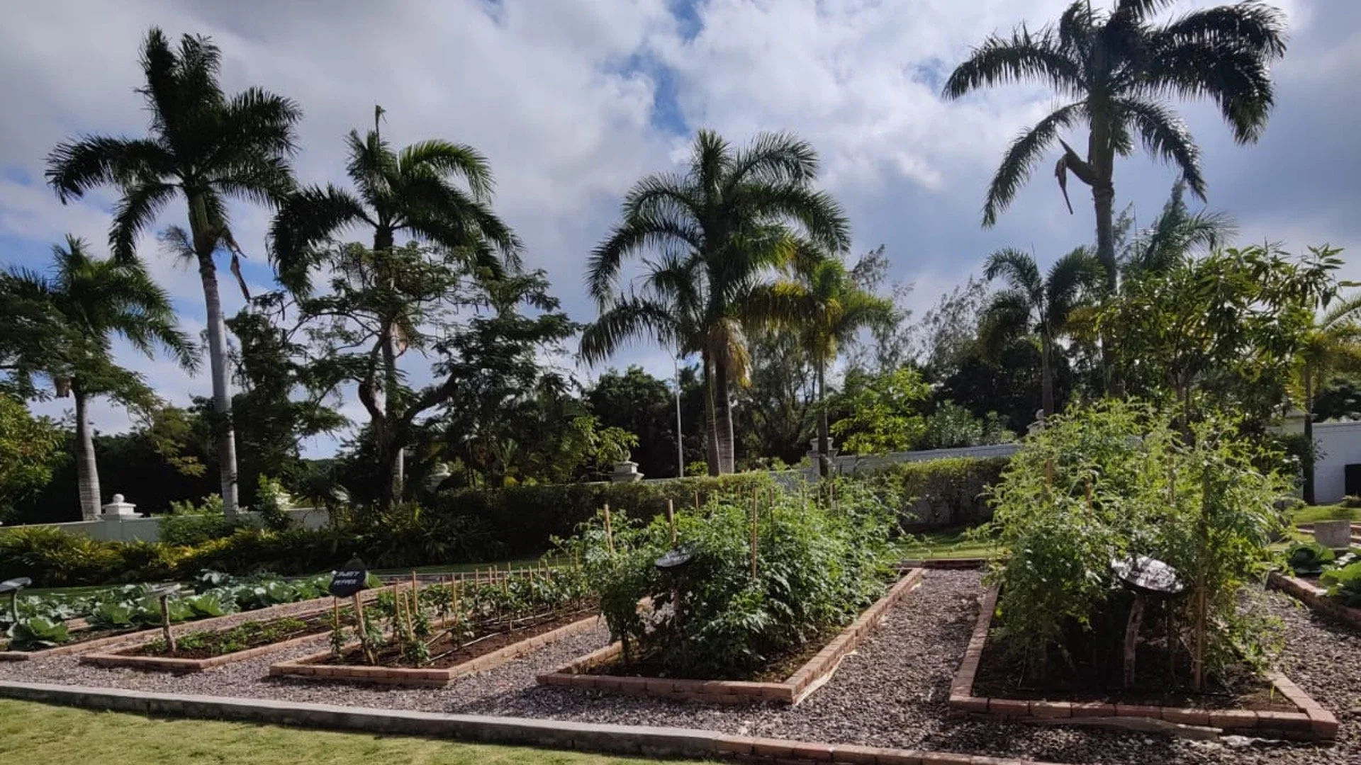 Hyatt Ziva &amp; Hyatt Zilara Herb and Organic Produce Gardens