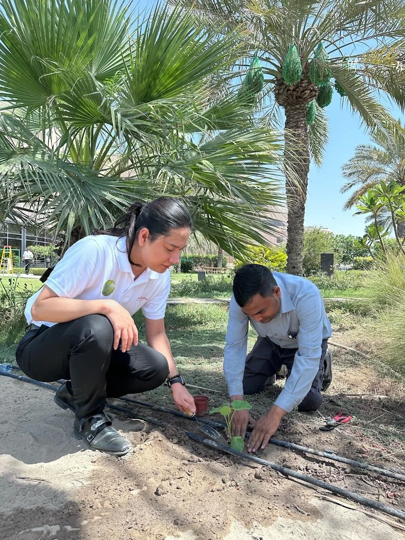 planting.jpg