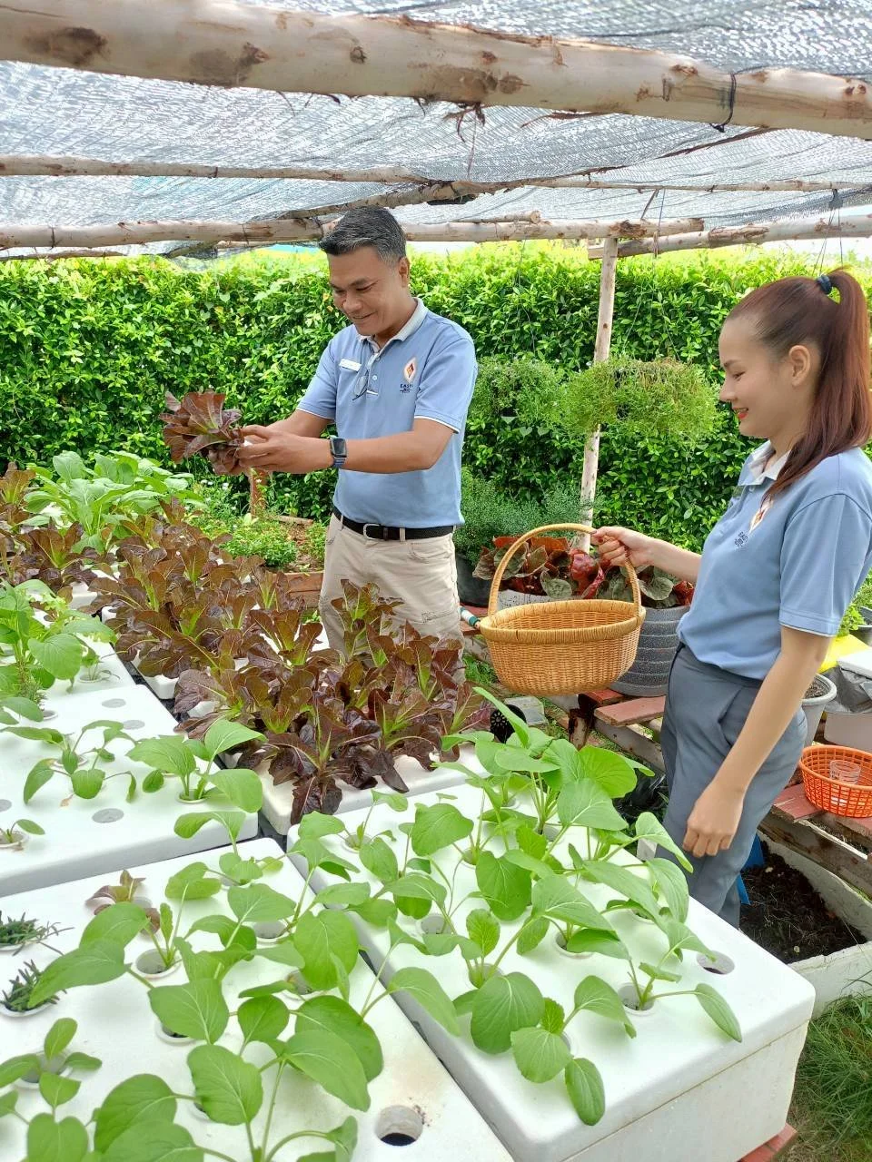 LINE_ALBUM_Eastin Rayong Green Globe Activity_260805_1.jpg