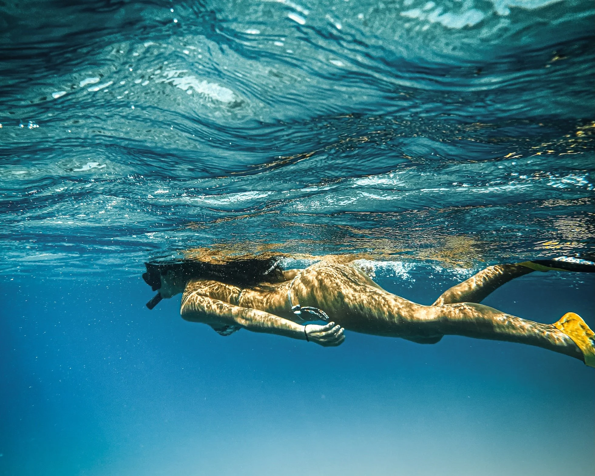 Zannier Bãi San Hô and SASA Marine Animals Rescue Center Renew Commitment to Coral Reef Restoration in Vietnam
