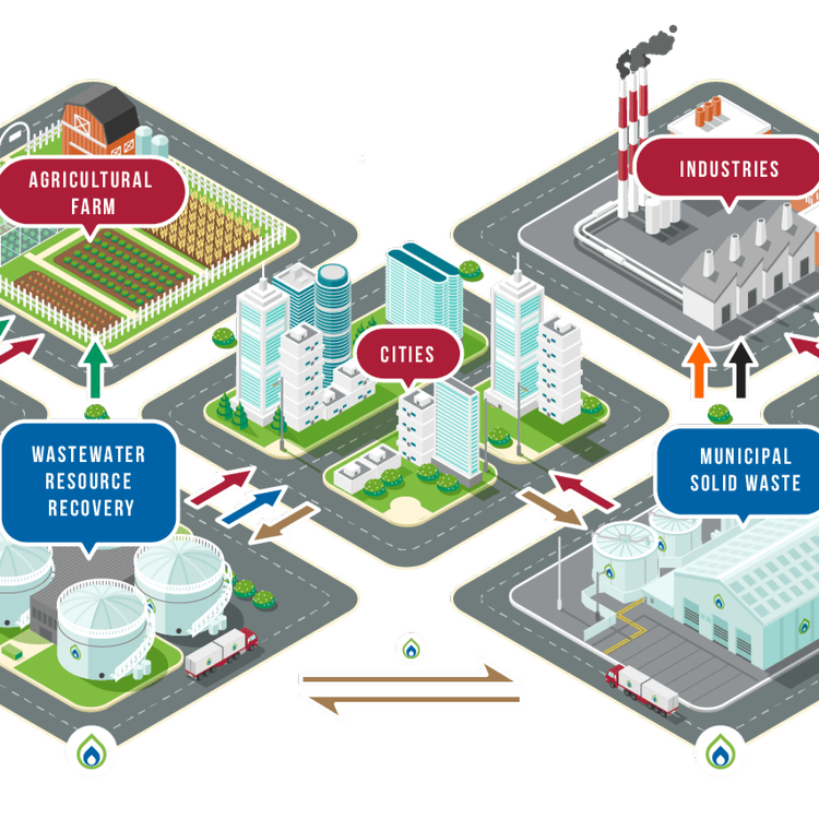 Anaergia develops large-scale anaerobic digestion facilities that convert food scraps, agricultural waste and sewage sludge into renewable biogas and nutrient-rich fertiliser. The technology captures energy from decomposing organic matter, producing 
