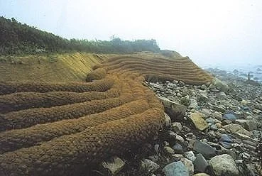 Coastal bioengineering projects reduce erosion by using a combination of deep-rooted plants and erosion-control products that are made of natural, biodegradable materials. Common bioengineering techniques include the use of natural fiber blankets, co