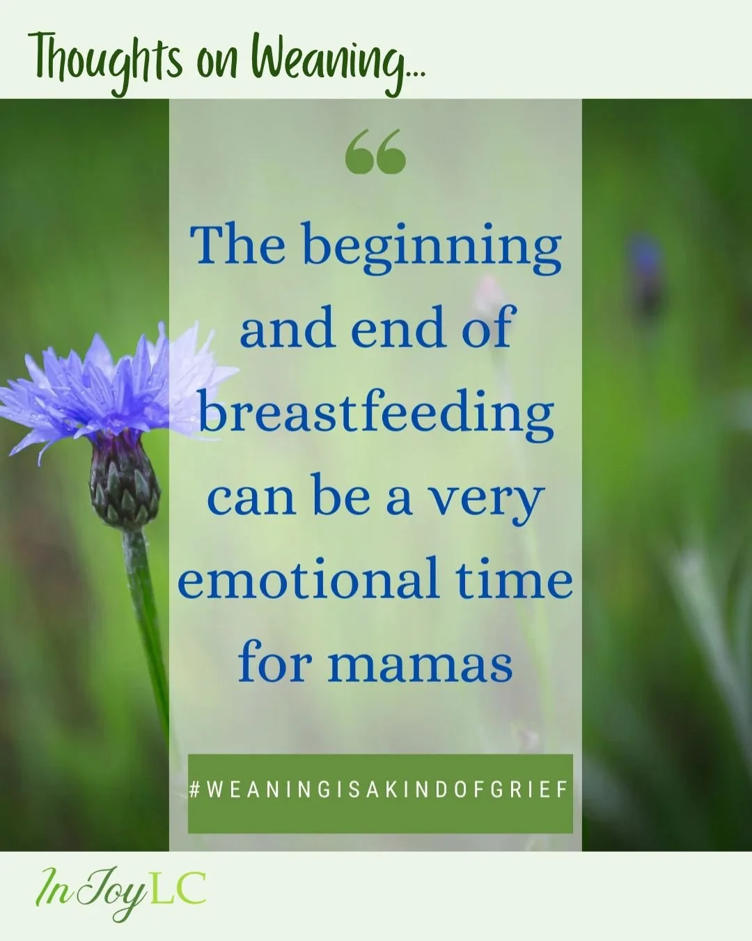 There are many different ways and reasons to reduce or stop breastfeeding and pumping.
.
I can vividly remember the last time breastfeeding my youngest child. I remember exactly where I was, looking down at her sweet toddler face that morning. She wa