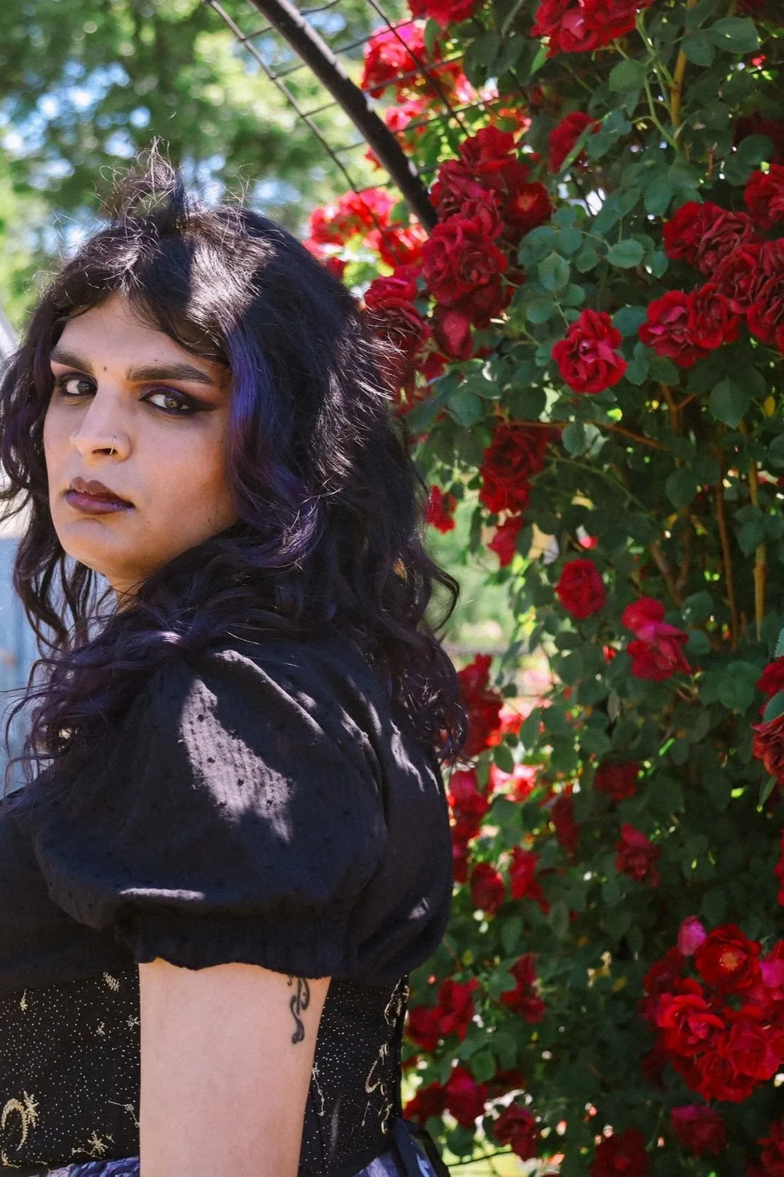 Pride in Bloom: Gender-Affirming LGBTQ Portraiture at Kelleher Rose Garden, Boston
